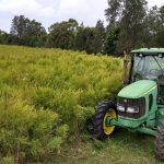 Teven Tree Green Trucks — Ballina district organic mulch delivery